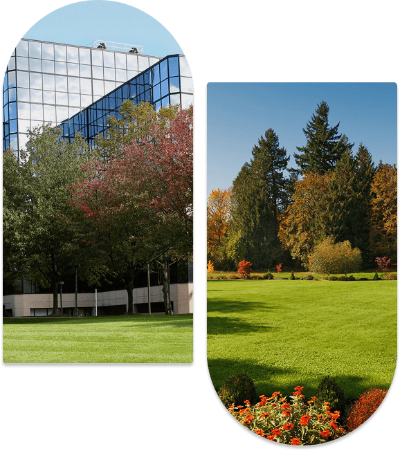 Group 1321317270 (2) Two-part image: Left shows a glass office building behind trees with red leaves. Right shows a sunny lawn bordered by trees with autumn foliage.