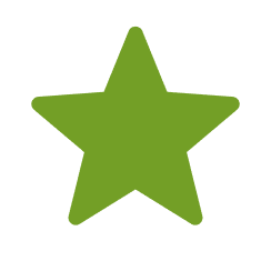 A solid green star on a white background.